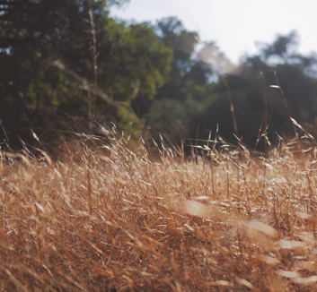 kaiyun开运·体育官方网站-俄罗斯体操运动员完美表现，夺得银牌