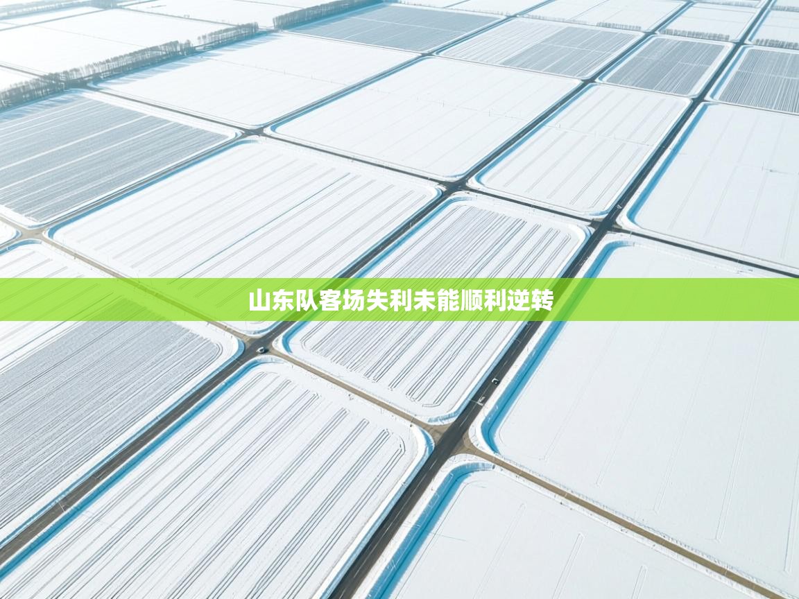 开云体育在线登入-山东队客场失利未能顺利逆转 第2张