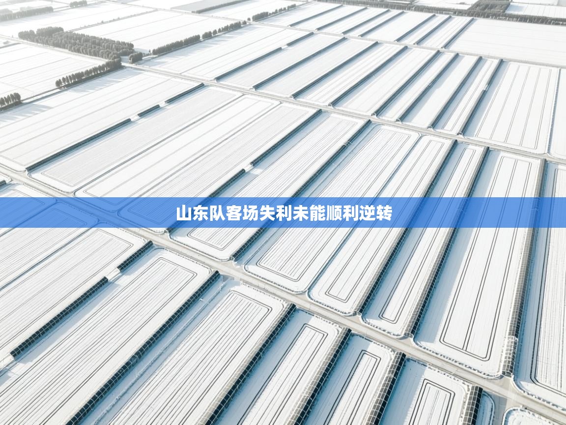 开云体育在线登入-山东队客场失利未能顺利逆转 第3张