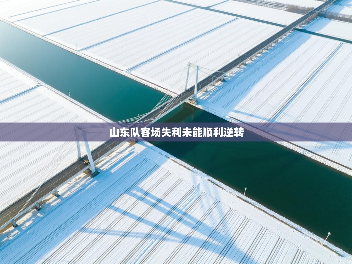 开云体育在线登入-山东队客场失利未能顺利逆转 第4张