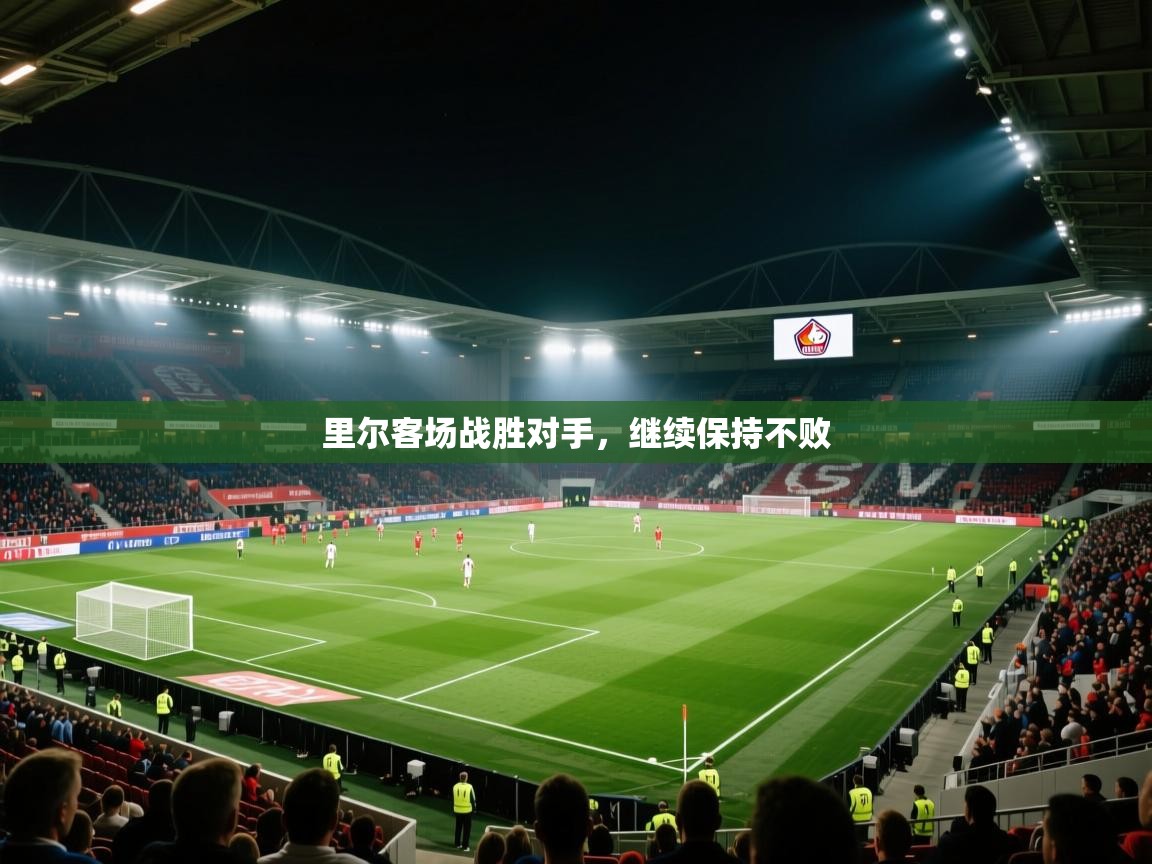 开云体育app-里尔客场战胜对手，继续保持不败  第2张