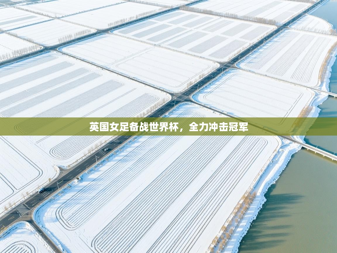 开云体育app评价-英国女足备战世界杯,全力冲击冠军 第1张