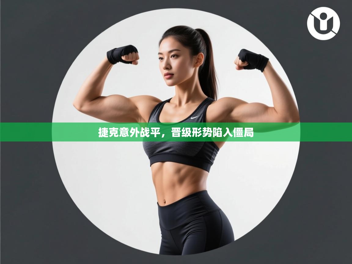 开云体育登录入口-捷克意外战平,晋级形势陷入僵局 第3张