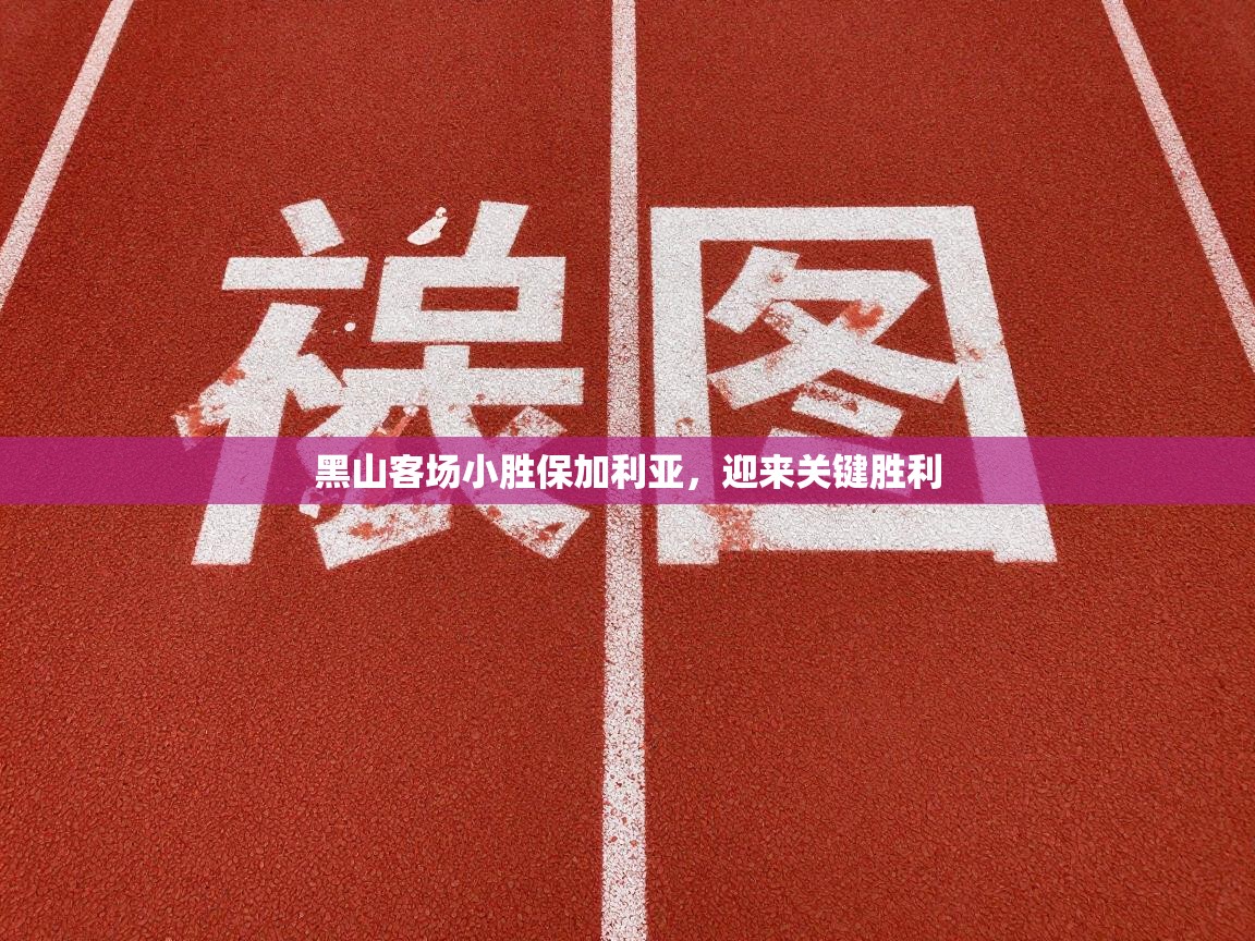 开云下载-黑山客场小胜保加利亚,迎来关键胜利 第2张