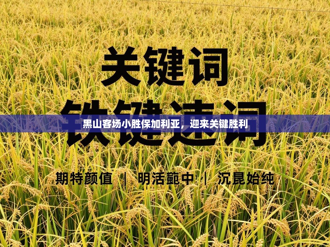 开云下载-黑山客场小胜保加利亚,迎来关键胜利 第3张